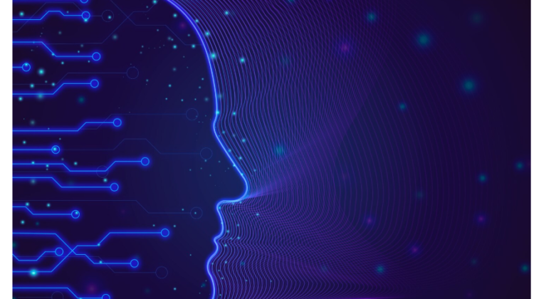 bilan de compétences IA Saint laurent du var