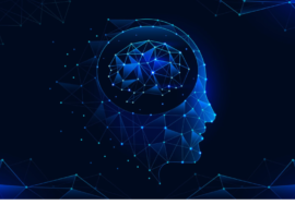 bilan de compétences IA antibes