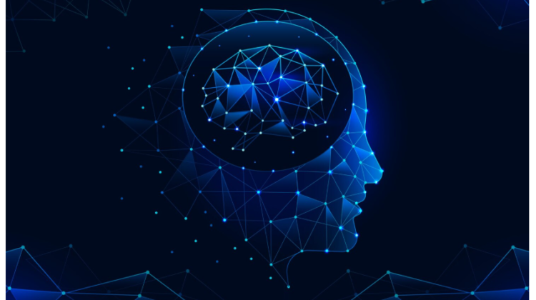 bilan de compétences IA antibes